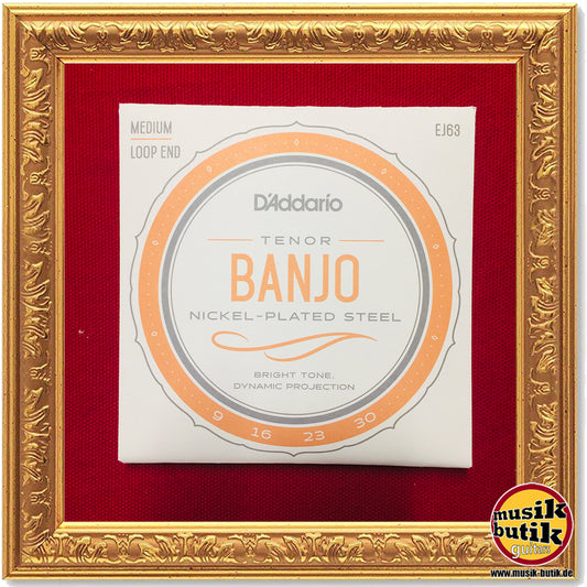 D'Addario EJ63 Tenor Banjo, Nickel, 9-30